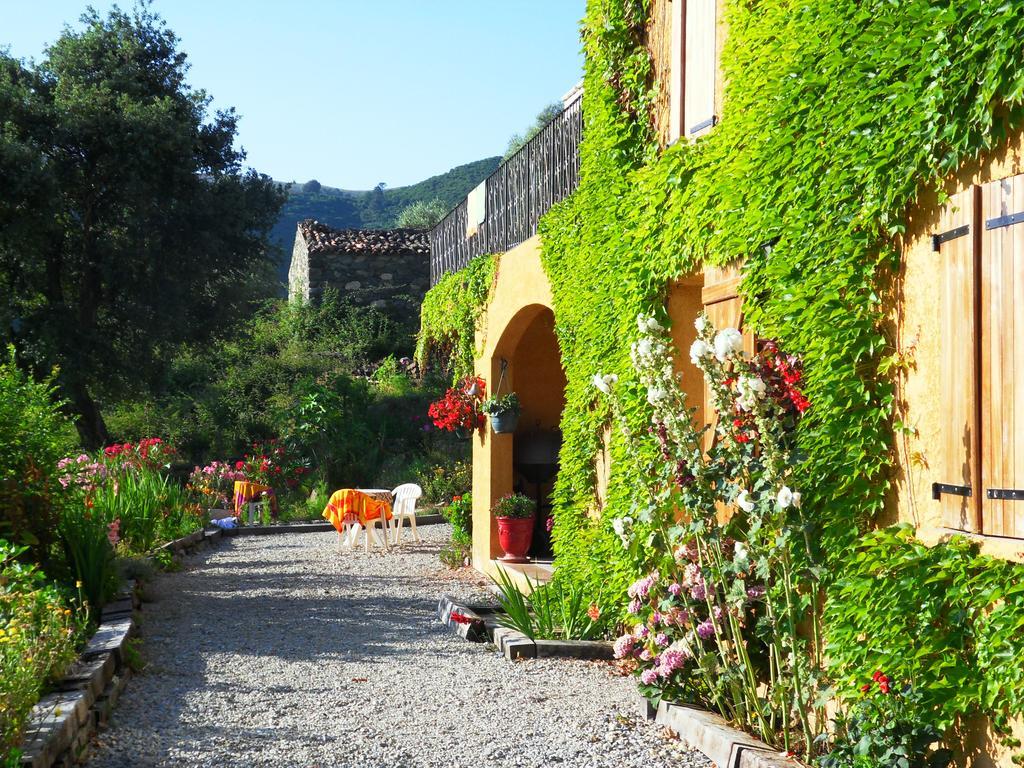 Hotel A Pianella Castirla Esterno foto