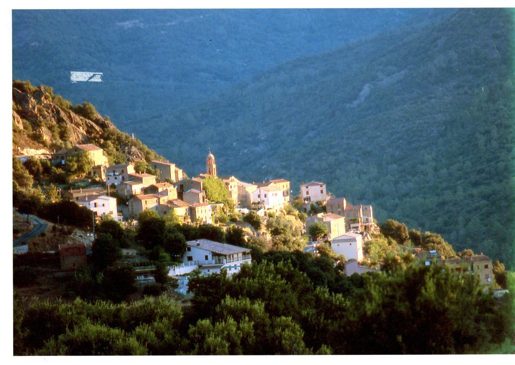 Hotel A Pianella Castirla Esterno foto