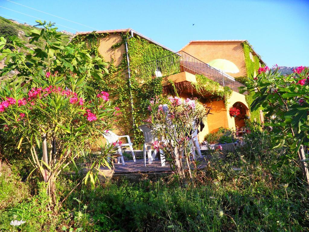 Hotel A Pianella Castirla Esterno foto